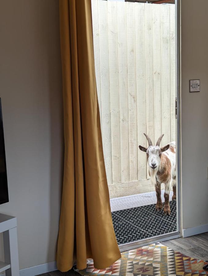 The Piggery Villa Witheridge Bagian luar foto