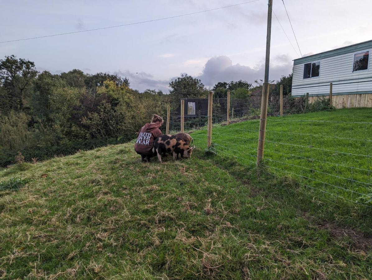 The Piggery Villa Witheridge Bagian luar foto